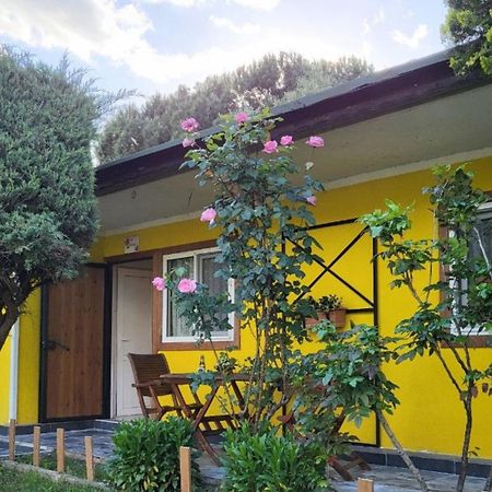 Hotel Cicek Evler Tatil Koeyue Armutlu Exterior foto